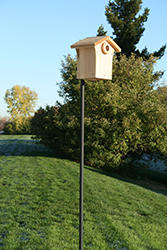 Wild Birds Unlimited Bluebird Nest Box